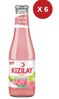 KIZILAY MEYVELİ GUAVA 6 ADET