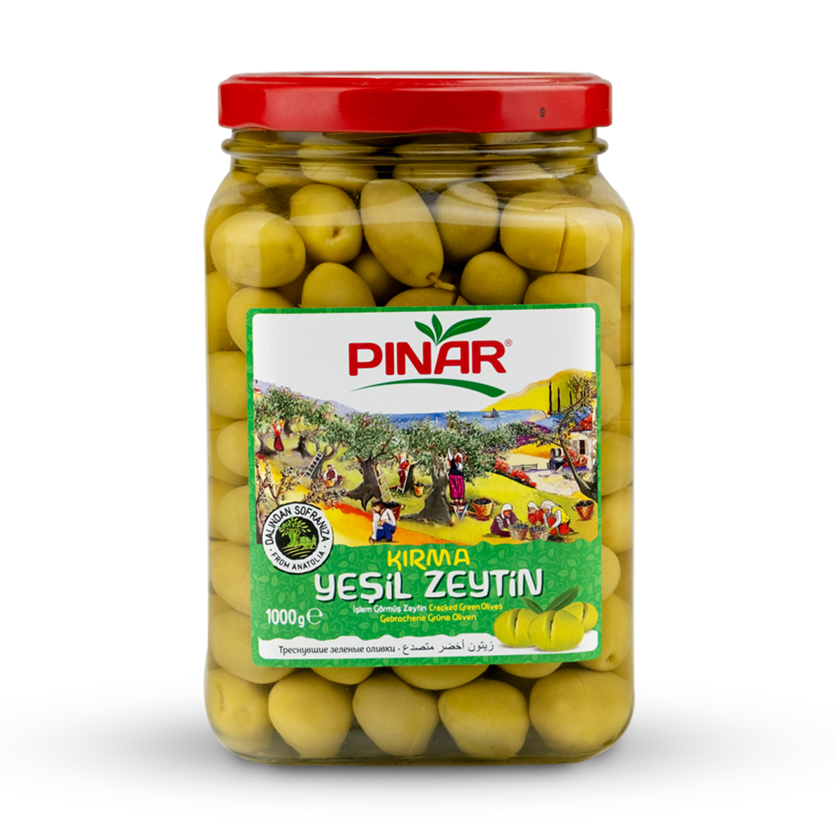 PINAR KIRMA Y.ZEYTİN 1600 CC CAM 231-260 1000 GR 