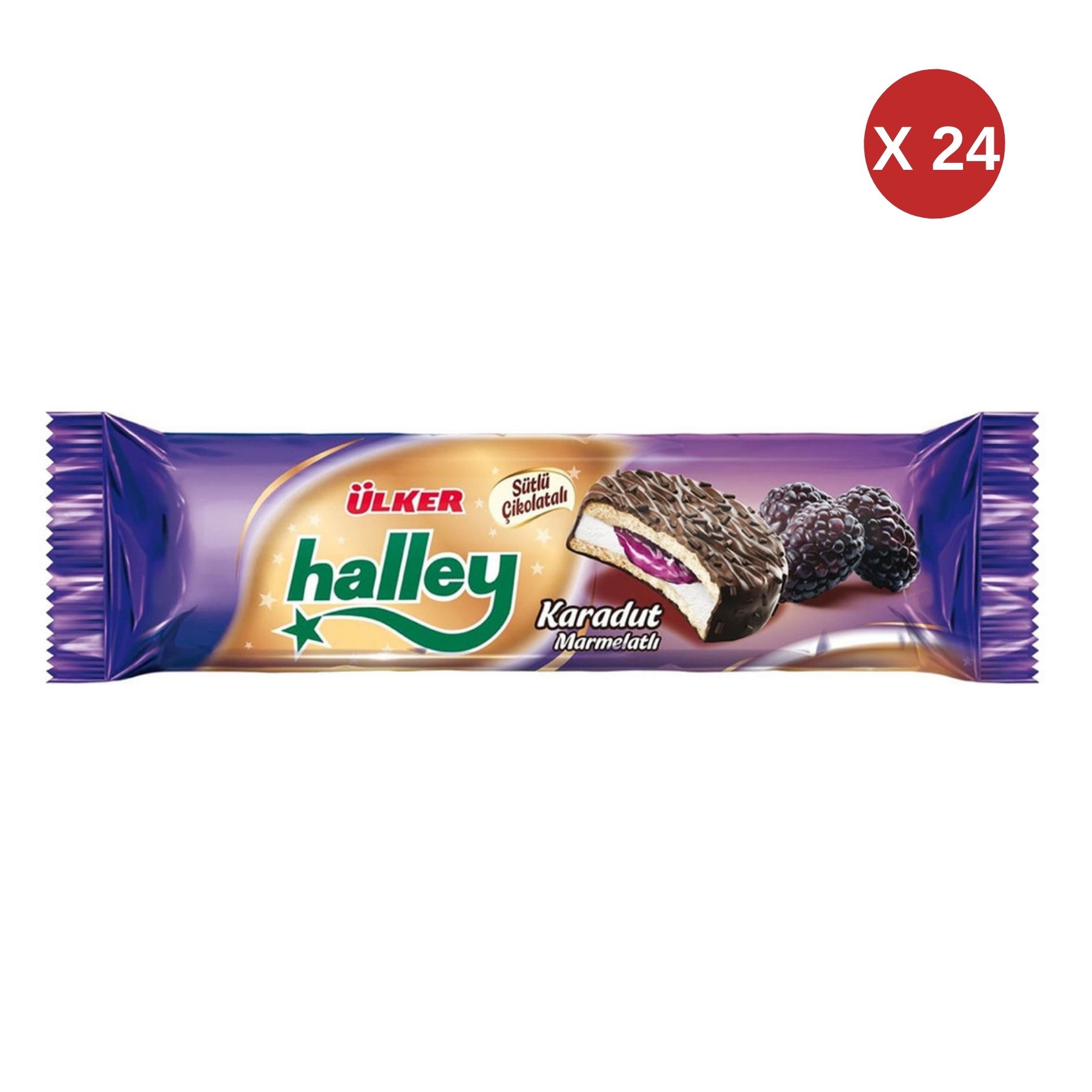 ÜLKER HALLEY MİNİ KARADUT DOLG.74 GR (24 ADET)