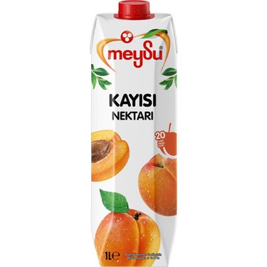 MEYSU KAYISI NEKTAR 1/1 12 ADET