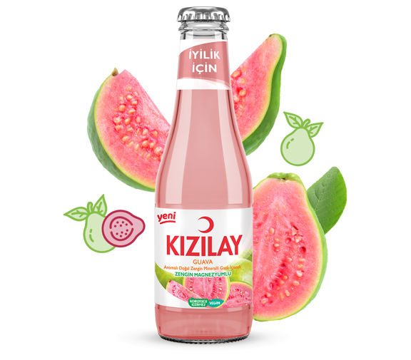 KIZILAY MEYVELİ GUAVA