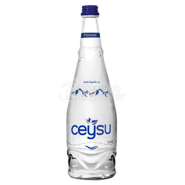 CEYSU CAM ŞİŞE 330 ML 