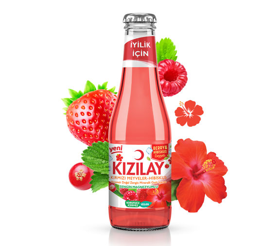 KIZILAY MEYVELİ KIRMIZI MEYVELER HİBİSCUS