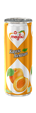 MEYSU KAYISI NEKTARI 330 ML 12 ADET