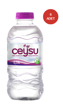 CEYSU PET ŞİŞE 0,33 LT  6 ADET