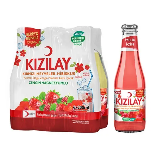 KIZILAY MEYVELİ KIRMIZI MEYVELER HİBİSCUS 6 ADET