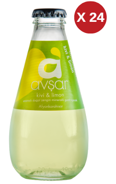 AVŞAR KİVİ-LİMON SODA (24 ADET)