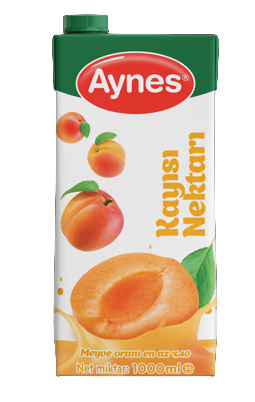 AYNES 1 LT KAYISI NEKTARI 12 ADET